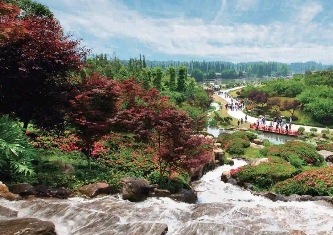 成都锦江区秀丽东方关闭背后的营商之思丨深度_景区_政府_公众