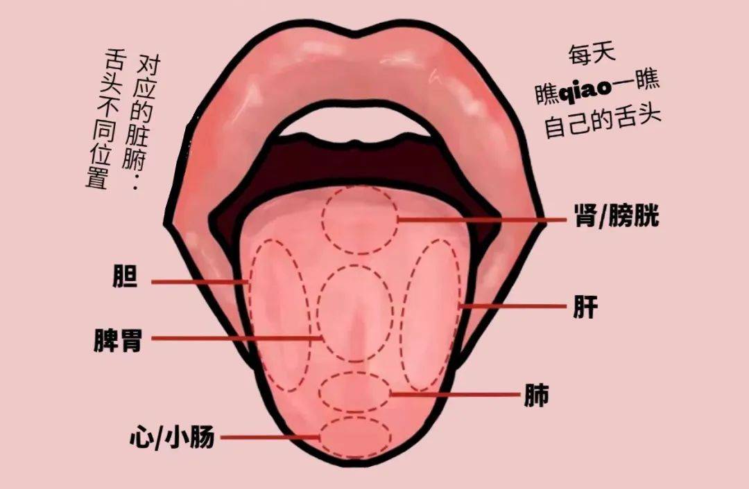 舌头出现这个征兆,代表肝和脾在紧急求救!
