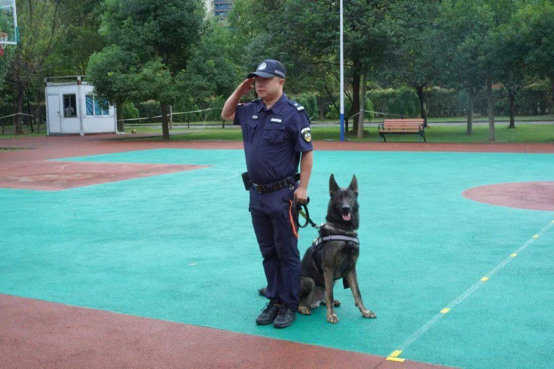 警犬闪电半张脸照片图片