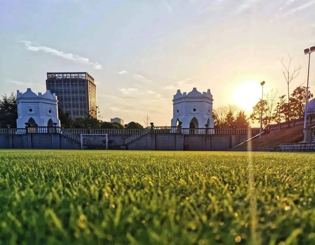 奉贤_花园_地址