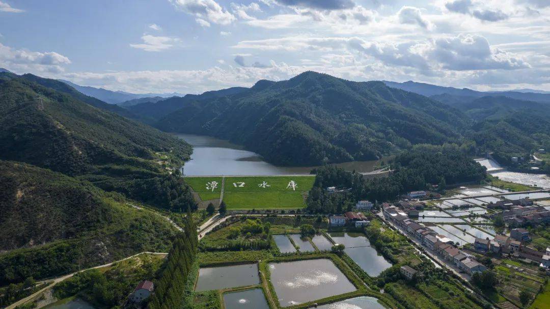 投资1亿多,谷城这个新水厂明年正式投入使用_建设_供水_自来水