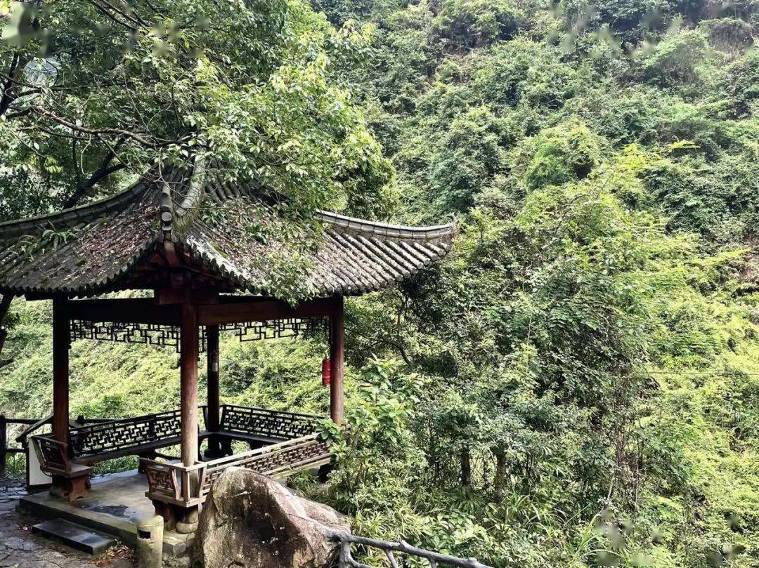 在平阳,在顺溪……_大屋_畲族_民居