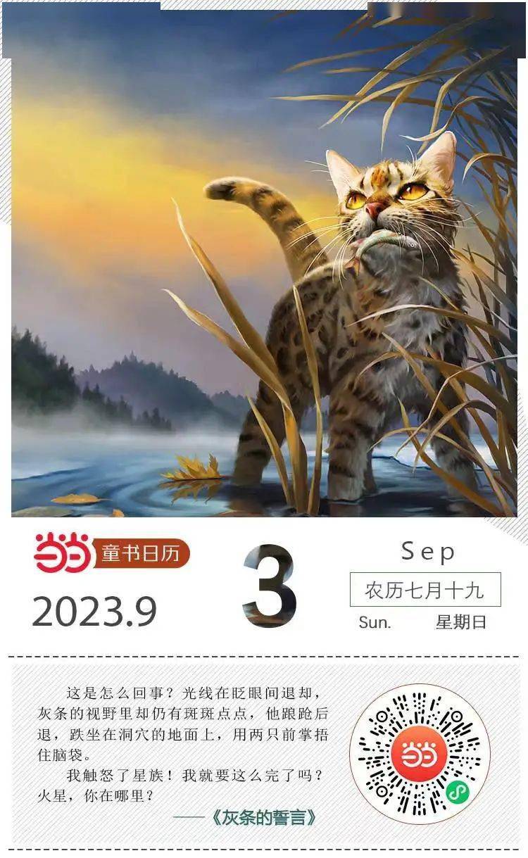 猫武士也太酷了!_族群_火星_族长