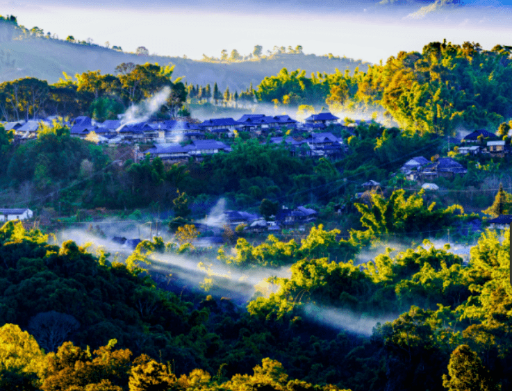 华为mate 60南糯紫,是勐海南糯山的紫!_勐海县_品牌_茶山