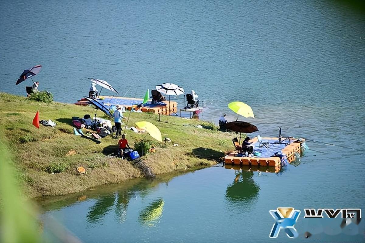 野钓大奖赛:90支队伍 360名选手竞技万峰湖 角逐十万元大奖_比赛_兴义