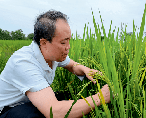 田中文:村民舍不得的"第一书记"_陈田村_武汉市_驻村