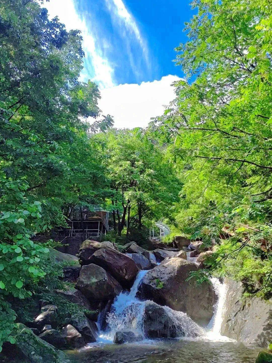 木札岭景区门票半价啦!错过等一年!_嵩县_古木_碧水