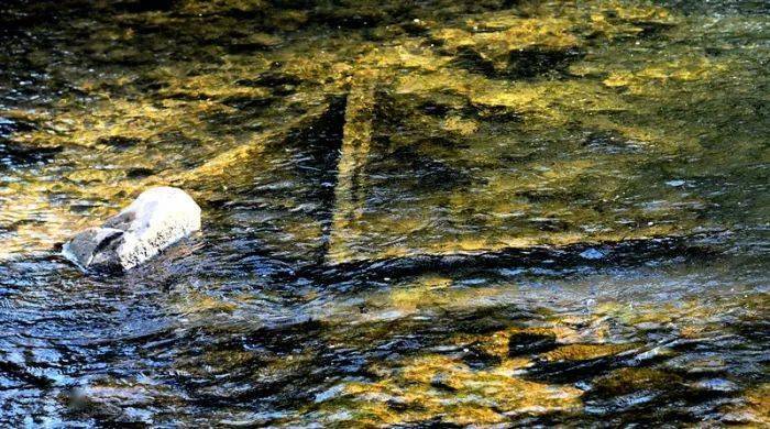 【民间河长巡河】金秋送爽 巡沮河桃李至雷电村段_花林寺镇_河流_河中