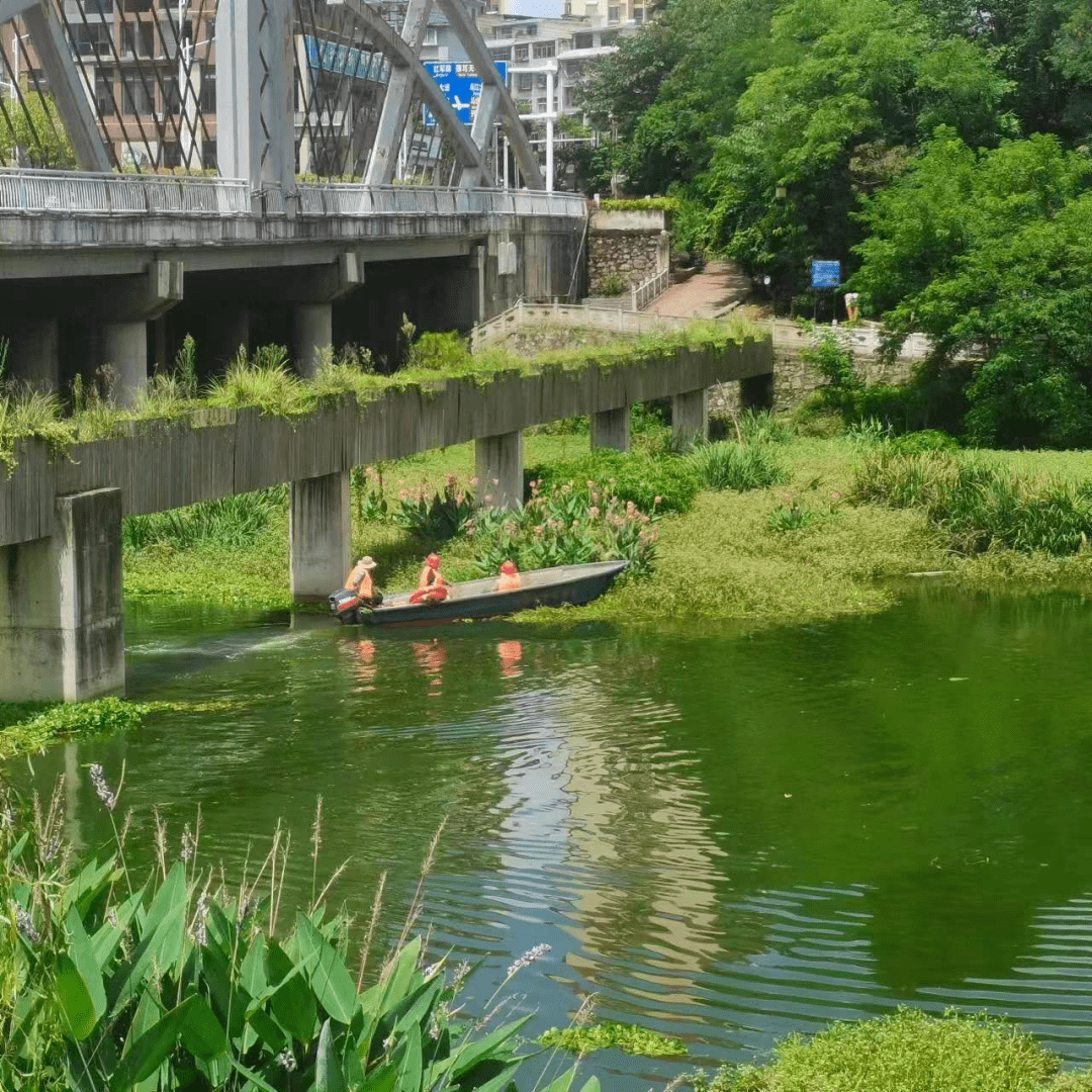 开阳县水务局:及时治理东湖公园水环境 积极回应群众关切