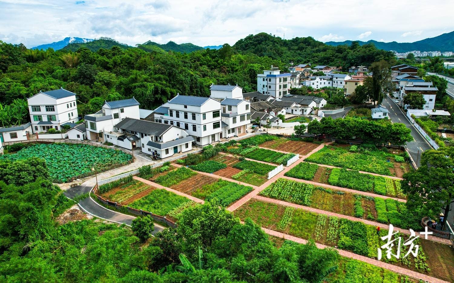 梅县区丙村镇:"三字诀"探索兴镇富村新路径|竞跑百千万·梅县镇能量⑩