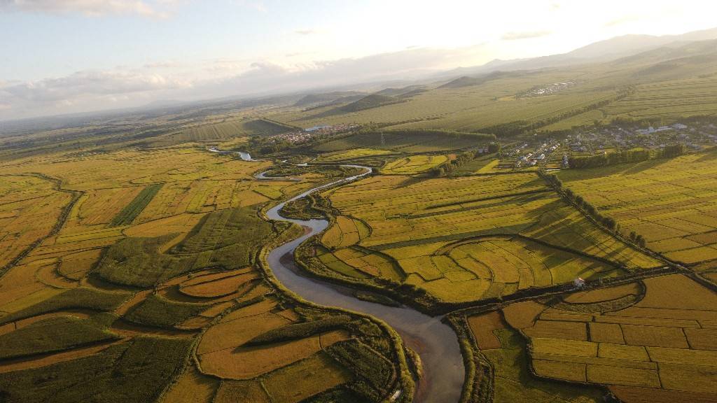 黑龙江宝清县 万亩稻田夕阳下泛出金光_周怀宗_水稻_金色