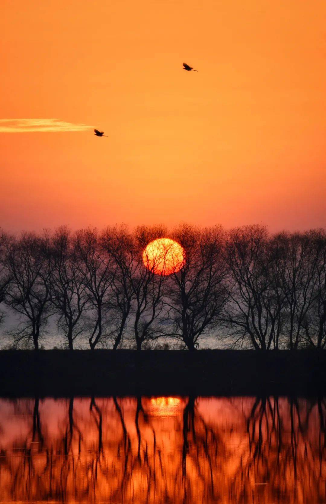 我们的影像|巢湖市摄影家协会