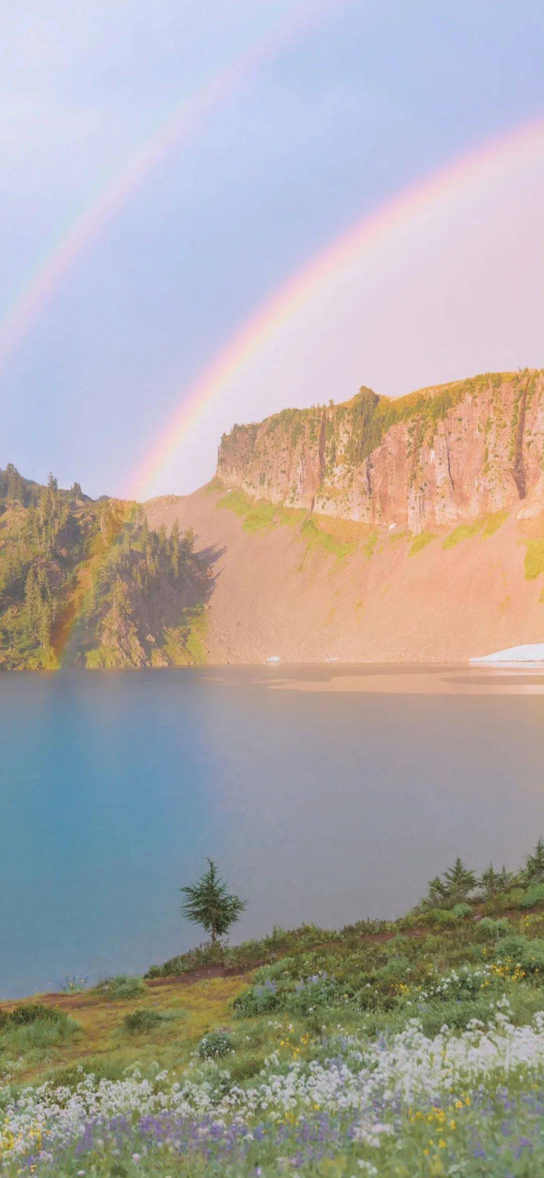 超爱的简约壁纸 | 生活自有分寸_自由_治愈_旷野