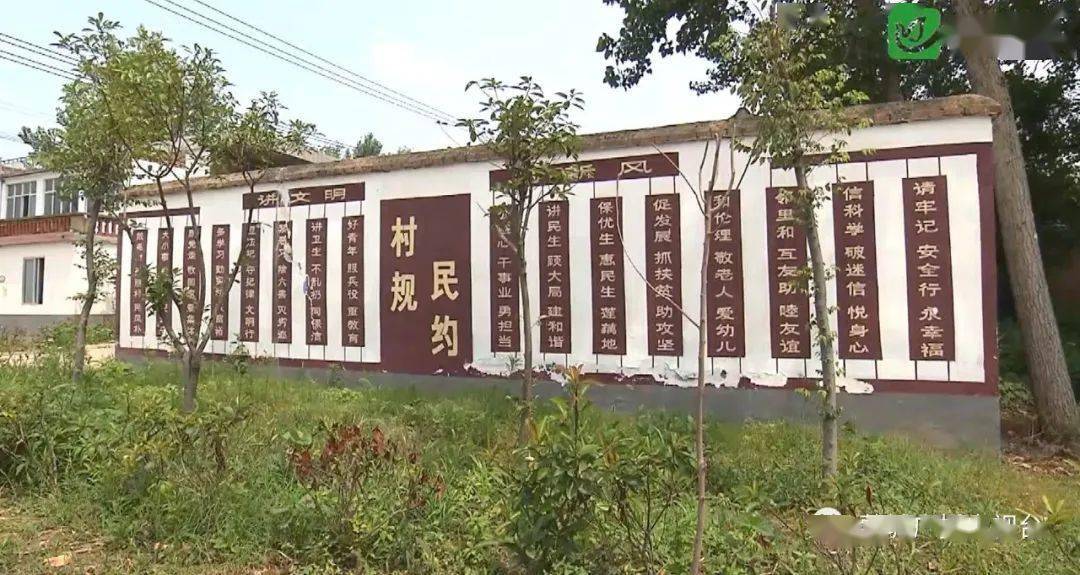 学习贯彻党的二十大精神巡回演出走进岳坊镇_蒙城县_舞蹈_尧村