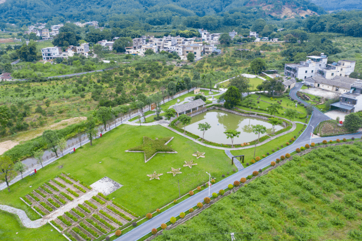 博罗柏塘:一条公路串起一路风景,带动一片产业_乡村_发展_柏塘镇