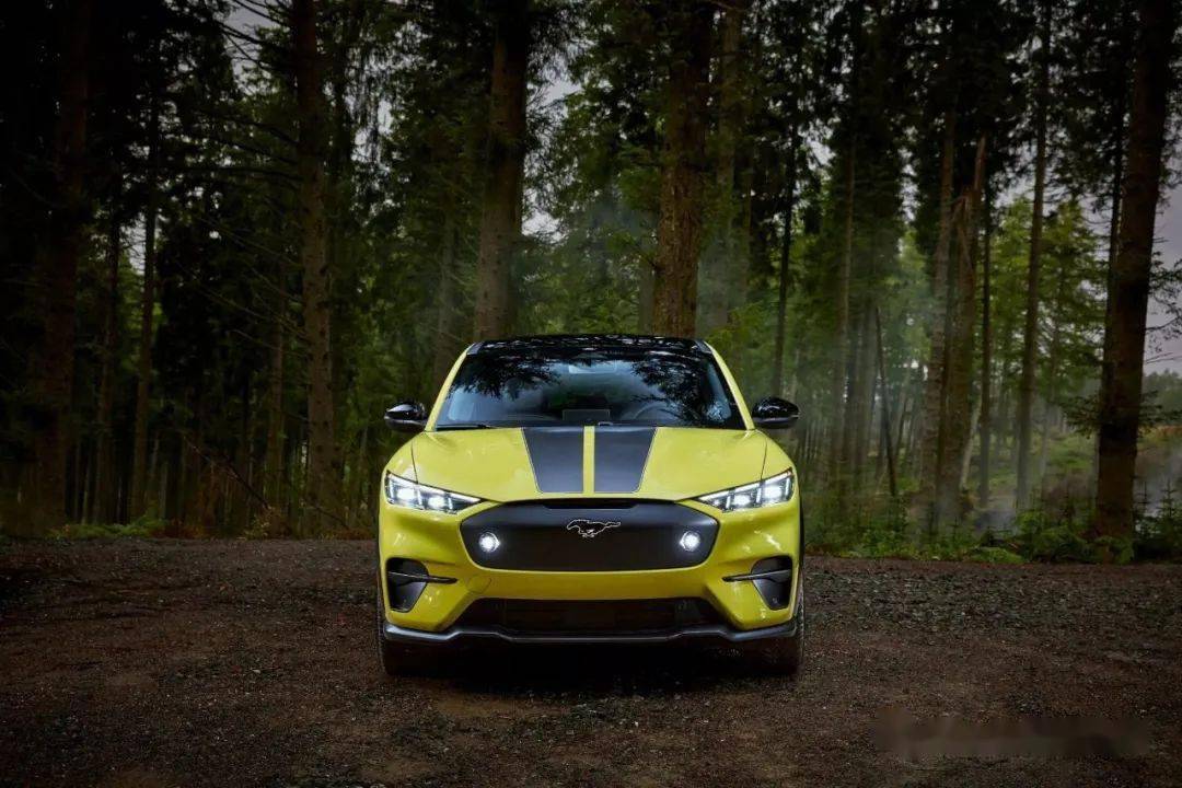 全新福特野马mach-e rally明年发售 | 酷乐汽车_搜狐汽车_搜狐网