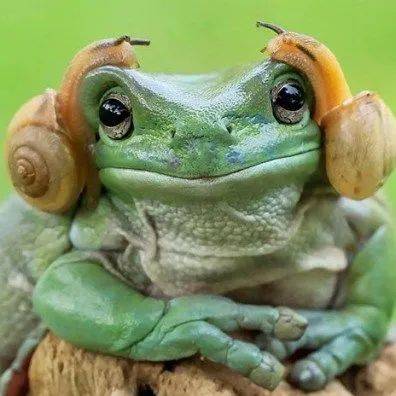 一组动物照,看了好开心!_老虎_孔雀_孩子