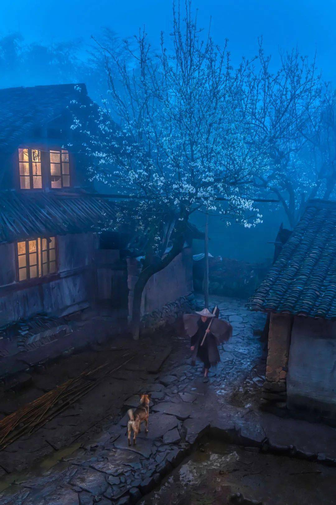 《暮归》《畲乡夜色》《生态渔村》《土楼秋色》《土楼夕照》《烟雨