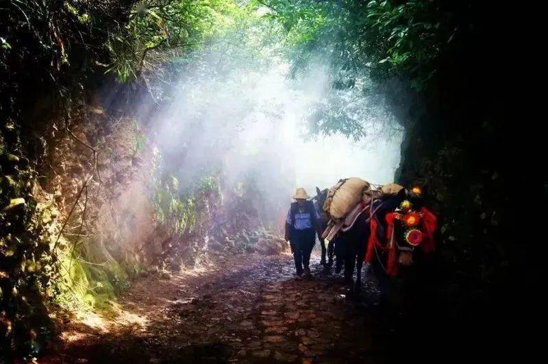 走博南古道,逛曲硐老街,大理永平欢迎您!_美食_古镇_历史