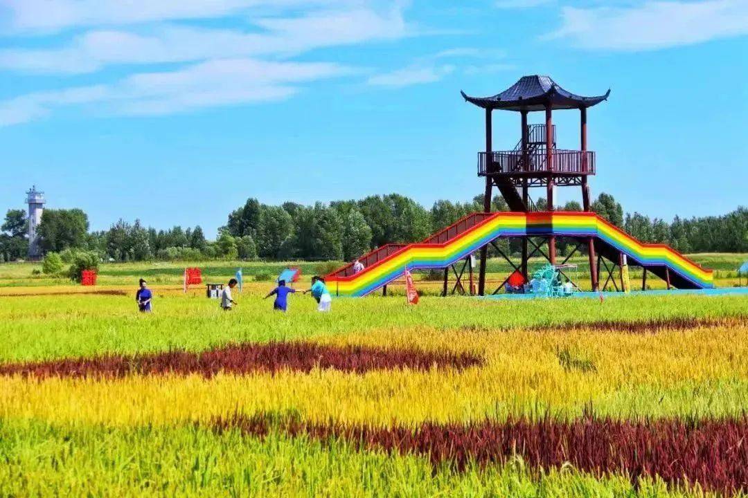 农业观光