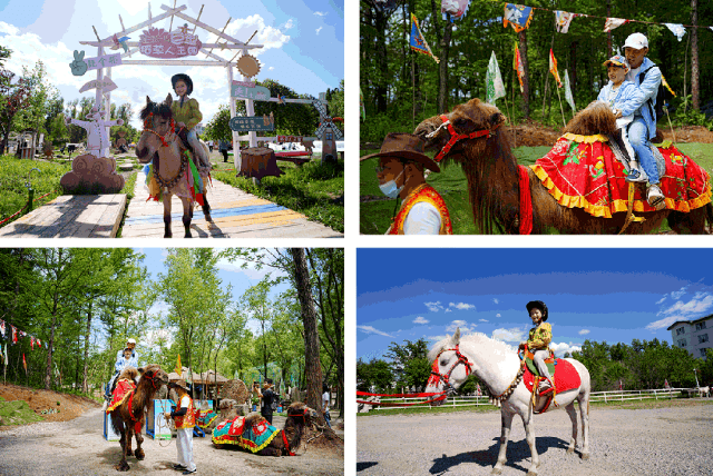 莲花岛又送门票啦!速来!_少林_实景_抗联