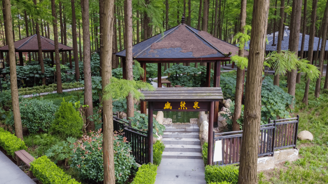 仅需268元/人 一价全含|溧河湾露营基地 住洪泽湖湿地温泉度假村 泗洪