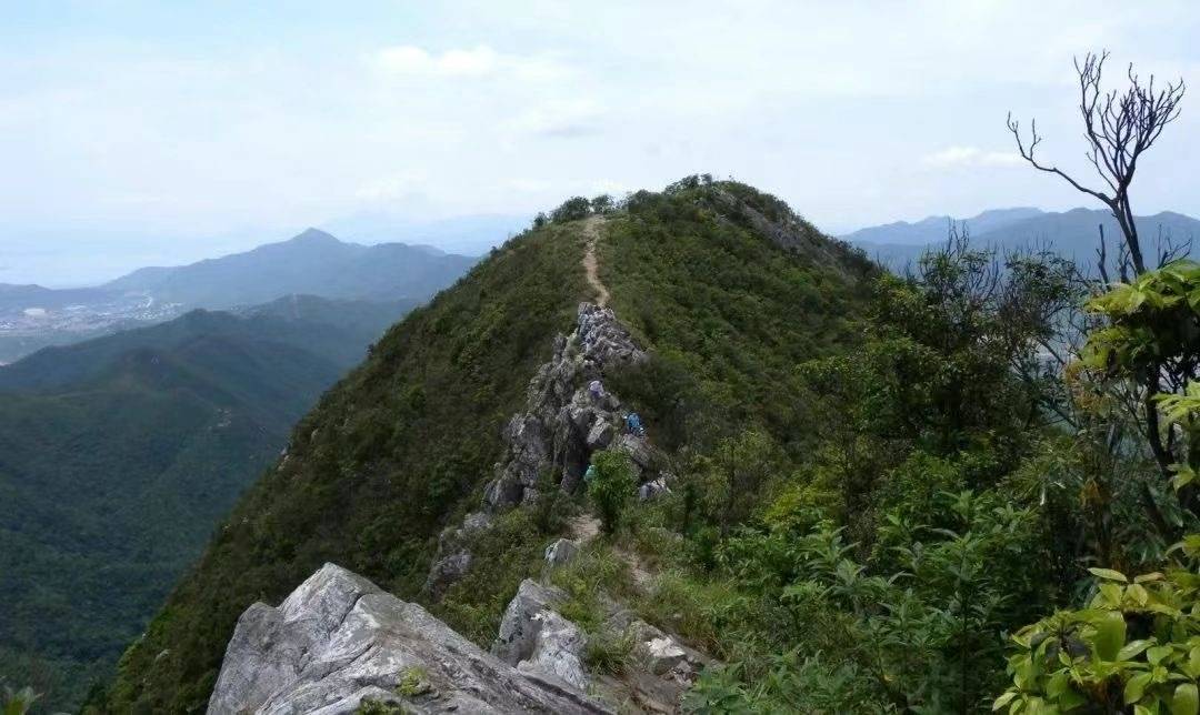来深圳mountain walk_大鹏_古道_排牙山