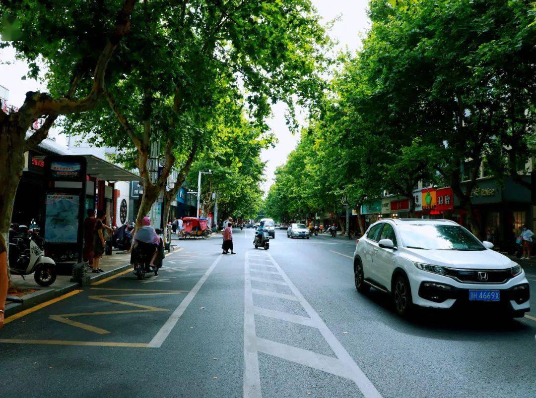 见证蝶变|龙游太平路_西路_东路_城市生活