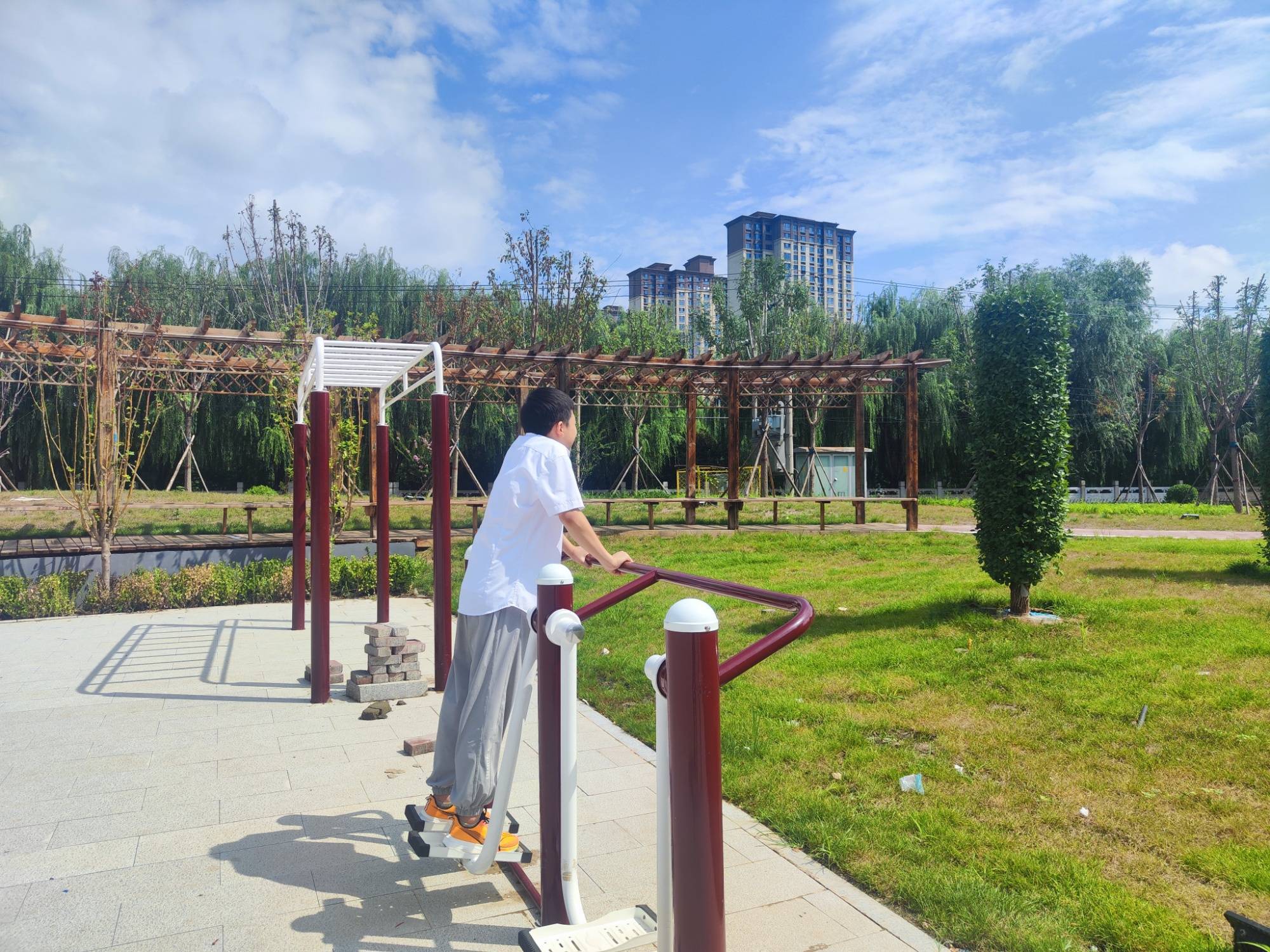 河北安国口袋公园建设 提升群众幸福感_市民_绿色_种植