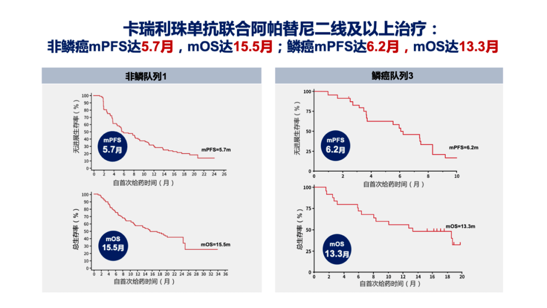 阿帕替尼乳腺癌三阴图片