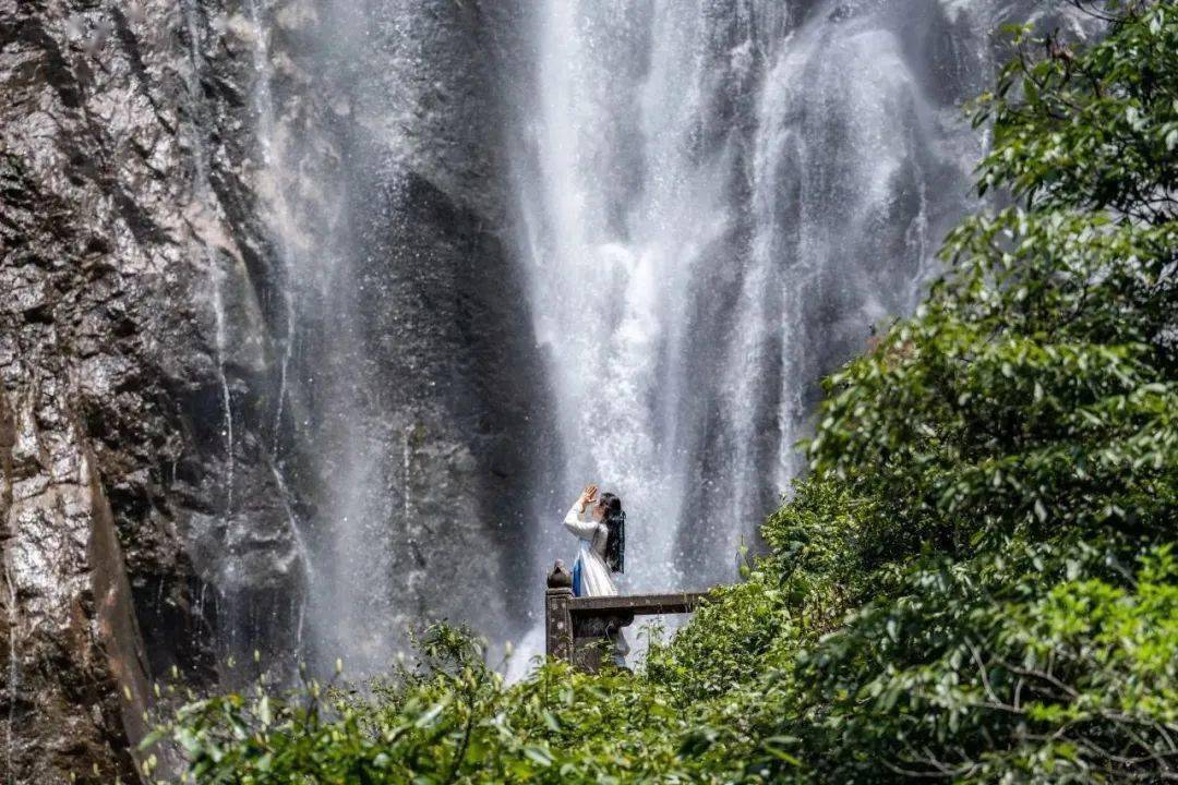 瀑布涛声不绝看遍万顷竹海在这里,为青春留下最美的色彩登山畅游明月