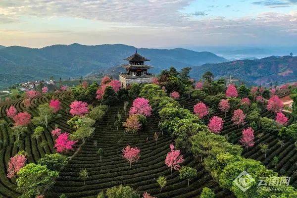 普洱思茅思茅区是普洱市政治,经济,文化中心,是云南三大海关重镇之一