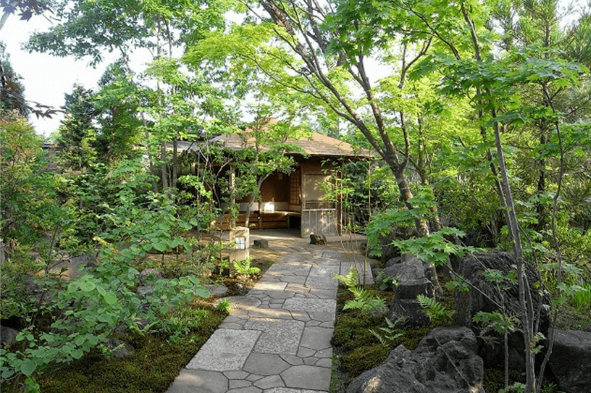 杂木庭院 |营造自然舒适的庭院环境_植物_树木_空间