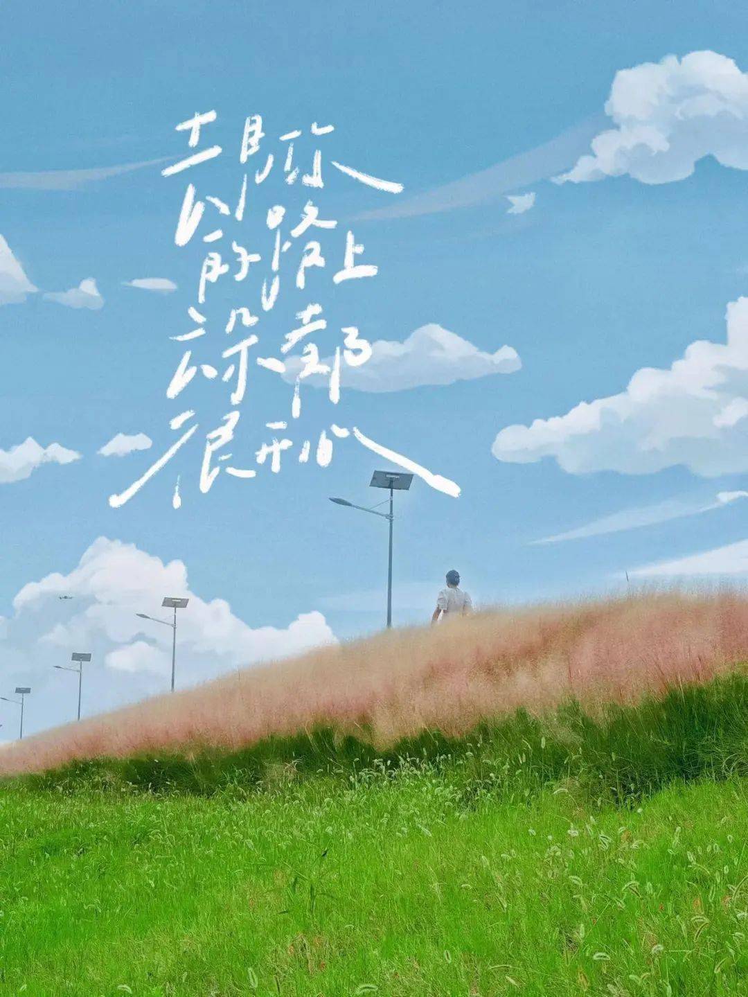 趁着最近天气正好来一睹粉黛的唯美在这个四季不明的城市寻找秋的感觉