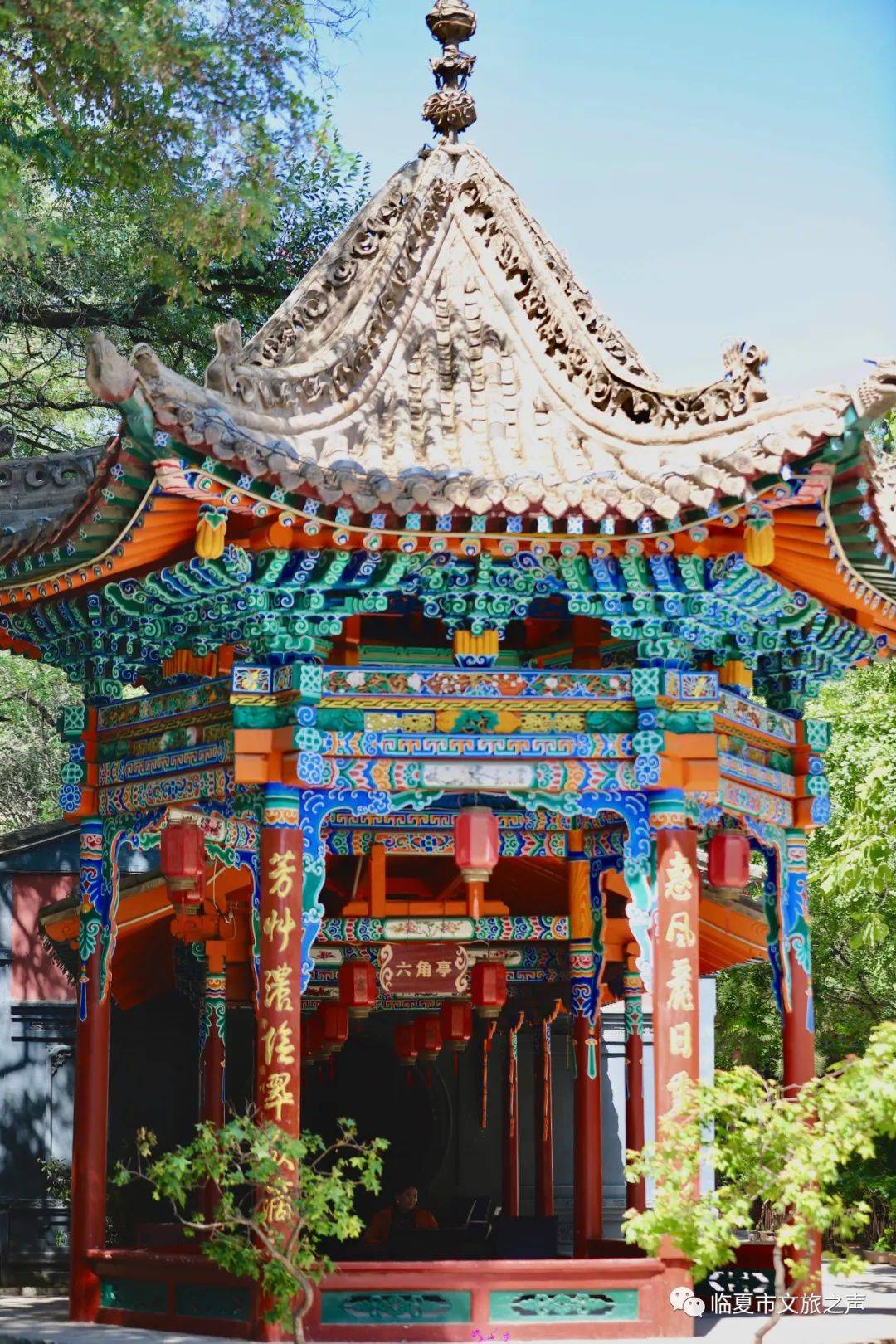 临夏好,最忆是红园!_园林_时光_老园