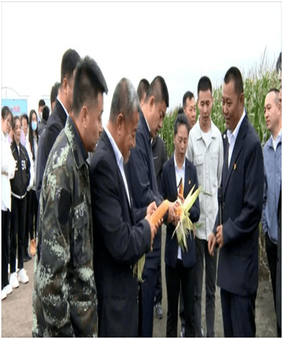 五大连池市:朝阳山镇边河村种植示范园区现场观摩会