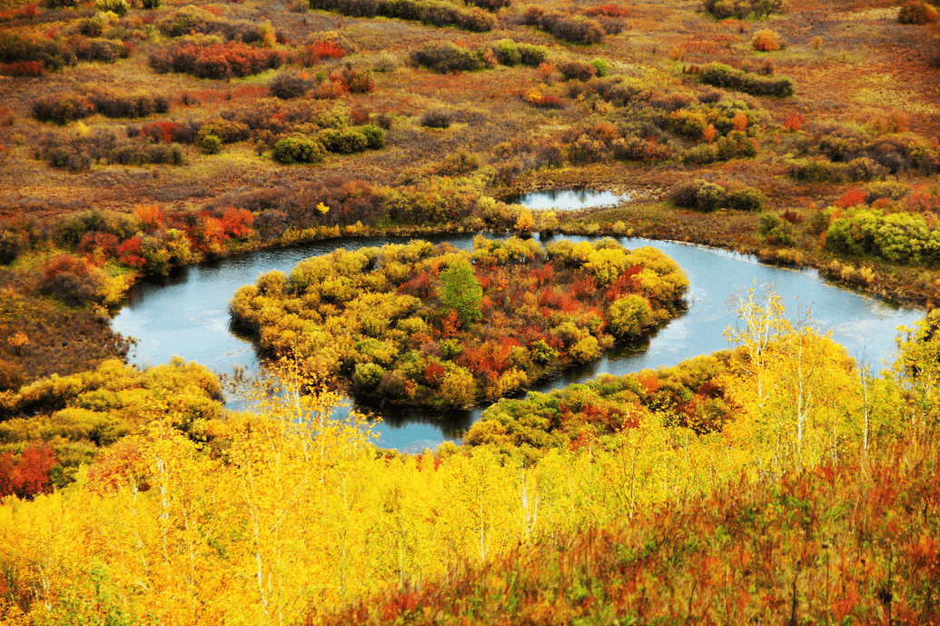 额尔古纳有一份金秋邀请函,请查收!_湿地_公众_呼伦贝尔市