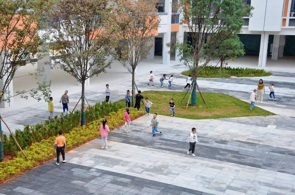 占地79亩,陆良这个小学建成并投入使用!_建设_环境_教学楼