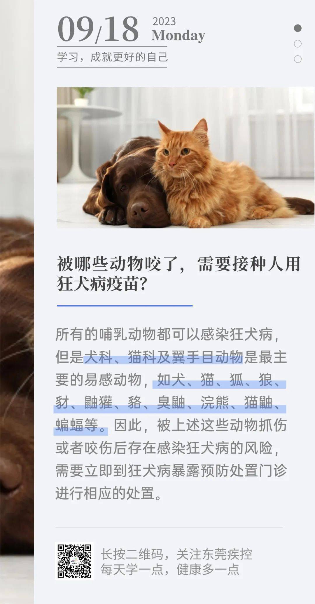 狂犬病携带动物表现图片