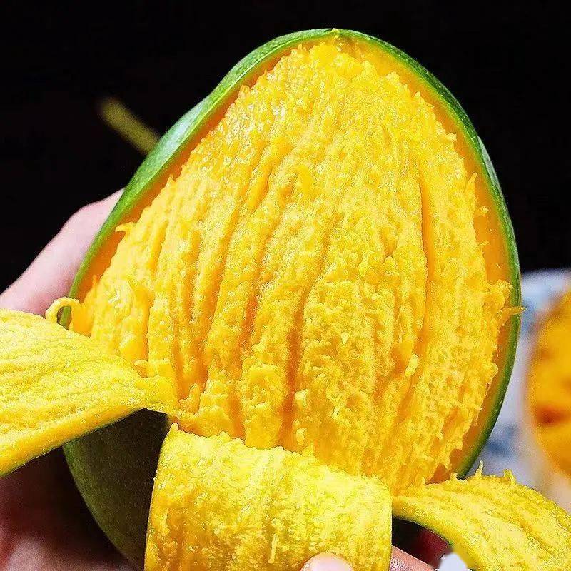 点击下图,添加群主为好友回复【猕猴桃】领券抢购