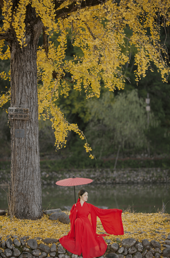 "满园银杏落秋风"主题人像拍摄_人物_落叶_光线