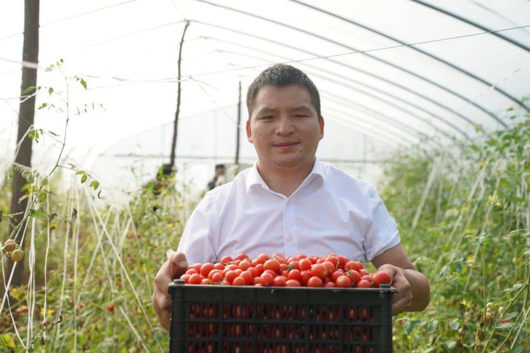 【乡村振兴在路上】驻村第一书记马举:"驻"进心里 帮出实效_工作_凉风