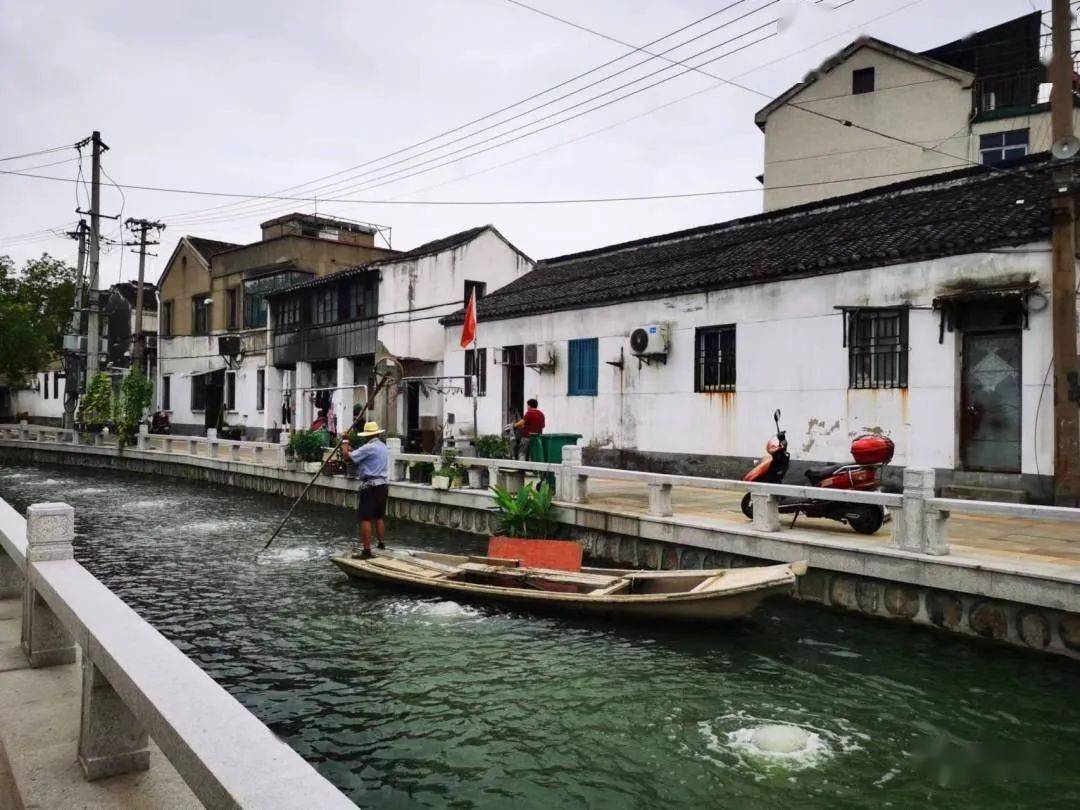 家门口的"船博会"_新桥河_居民_生活