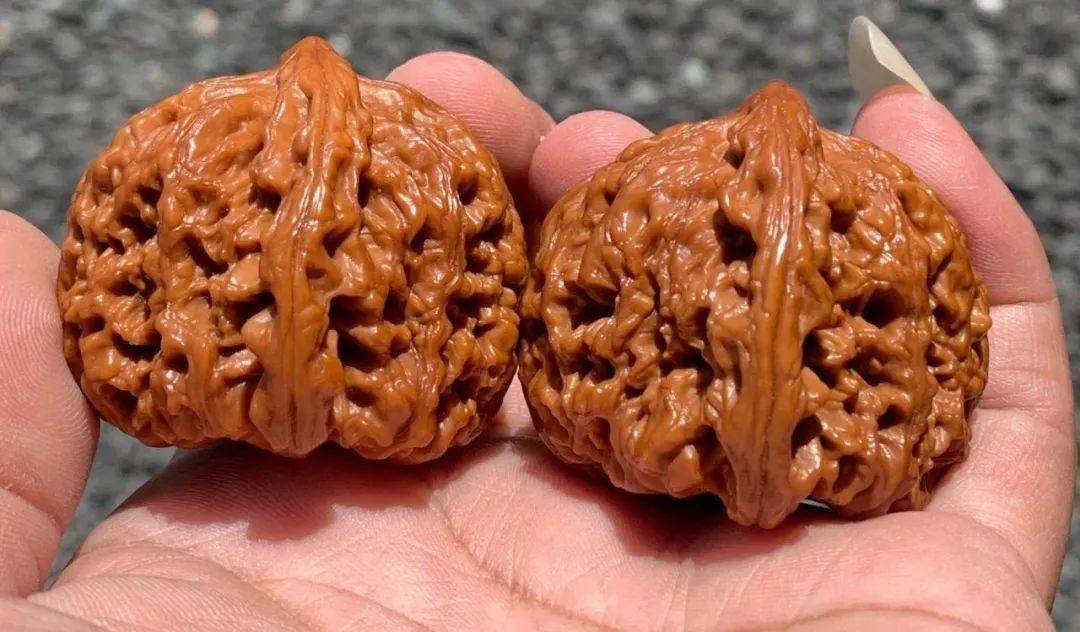 一句话告诉你,姜黄皮的核桃原来是这样的_文玩_宝贝_公众
