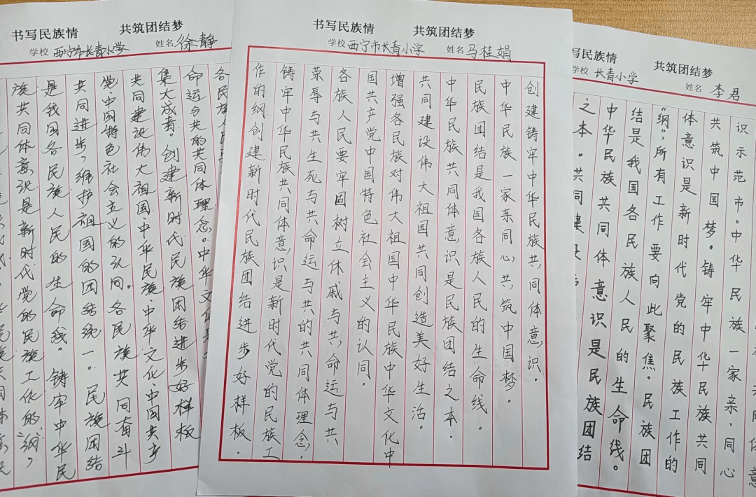 【魅力校园】长青小学:民族团结一家亲民族之花处处绽_活动_意识_工作