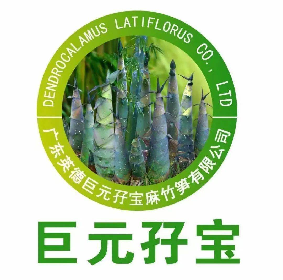 英德巨元孖宝即食麻竹笋荣获2023年中国特色旅游商品大赛银奖!