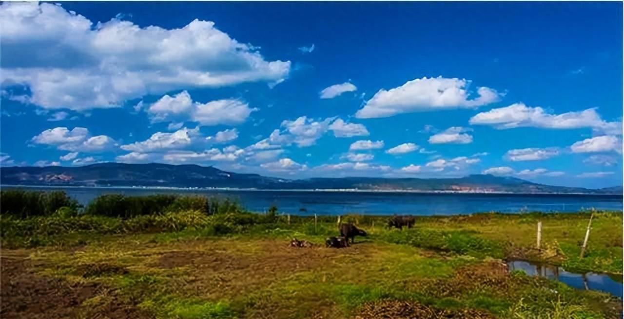 在大多数通海人的记忆里,杞麓湖是画中有诗,诗中有画的一弘静水,是