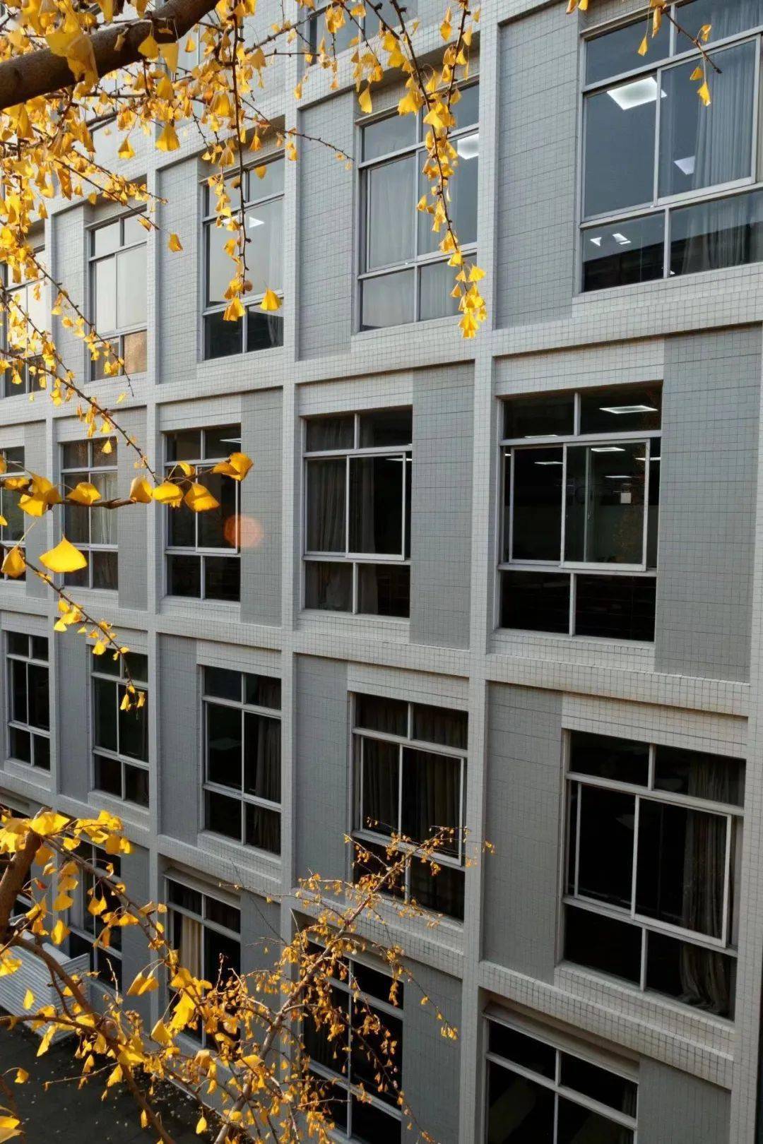 权威发布 | 四川大学2024年接收推荐免试攻读硕士学位研究生和直接