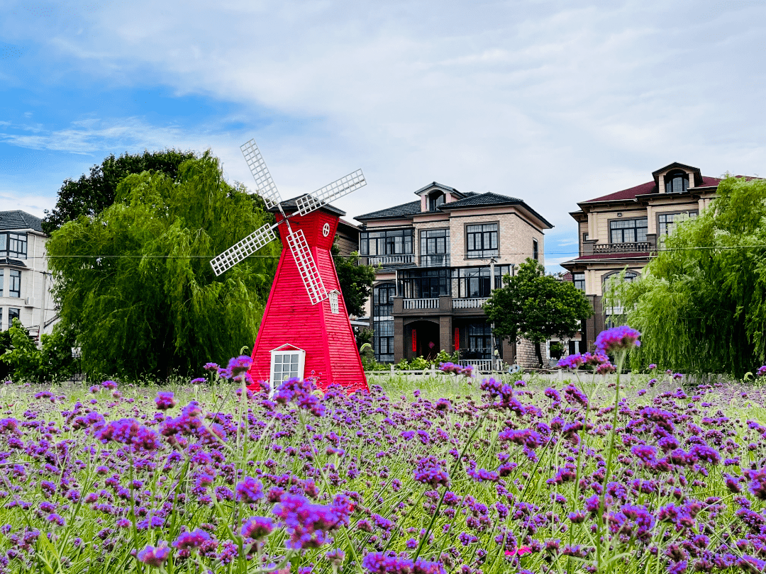 文明村镇丨海盐县于城镇何家村:解锁"文明密码",共建"和美何家"_全国
