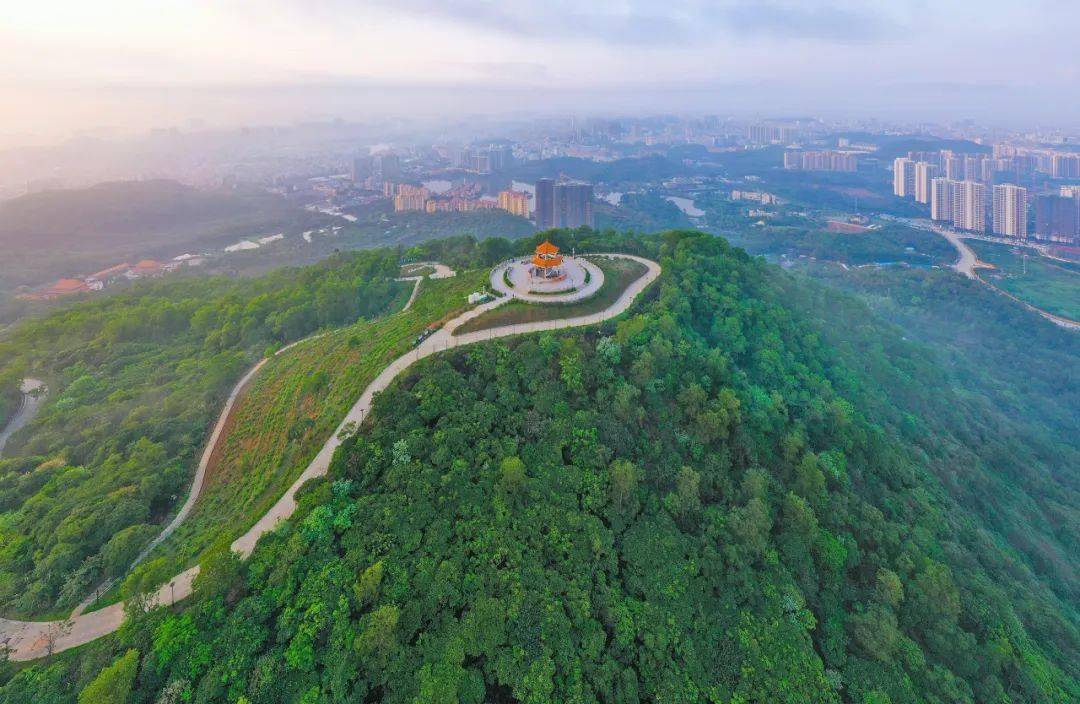 绿美阳江的"美丽密码"_建设_生态_森林